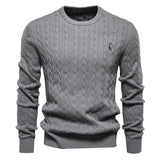 Rogier | Eleganter Pullover für Herren