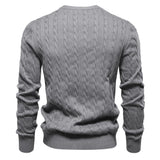 Rogier | Eleganter Pullover für Herren