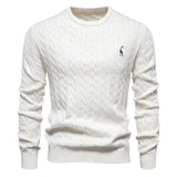 Rogier | Eleganter Pullover für Herren