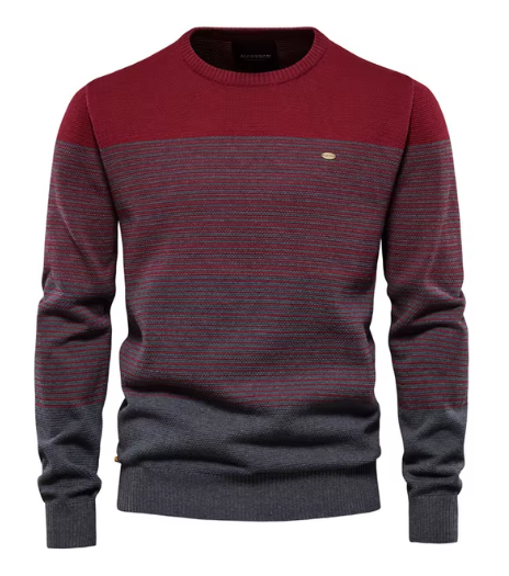 Raymond | Eleganter Pullover für Herren